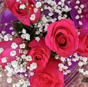 Meet your Posher, Aye